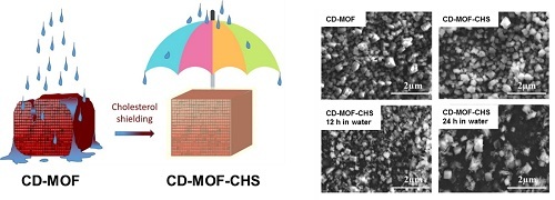 Chem. Commun.:新型CD-MOFs材料有效地递送药物