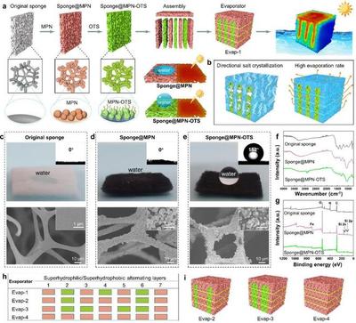 南昌大学王振兴/李越湘《AM》:基于金属多酚网络设计具有定向结盐功能的3D蒸发器用于高效太阳能脱盐